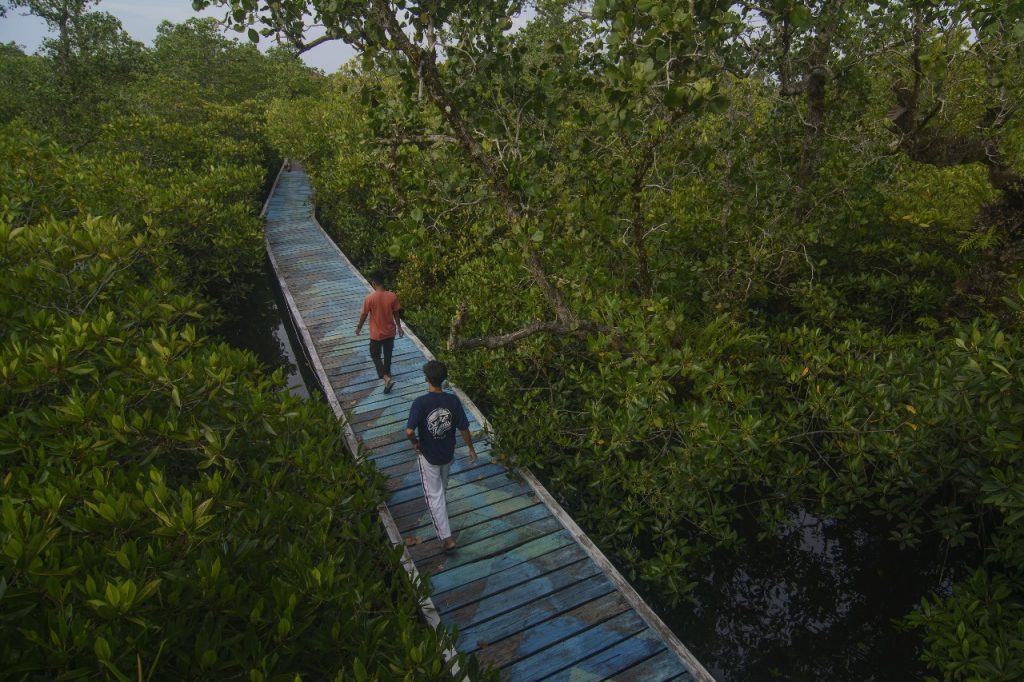 Cerita Desa Matansala dan Hutan Mangrove yang Jadi Tujuan Wisata