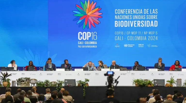 Pelaksanaan COP 16 CBD di Cili, Kolombia. (Foto: IISD)