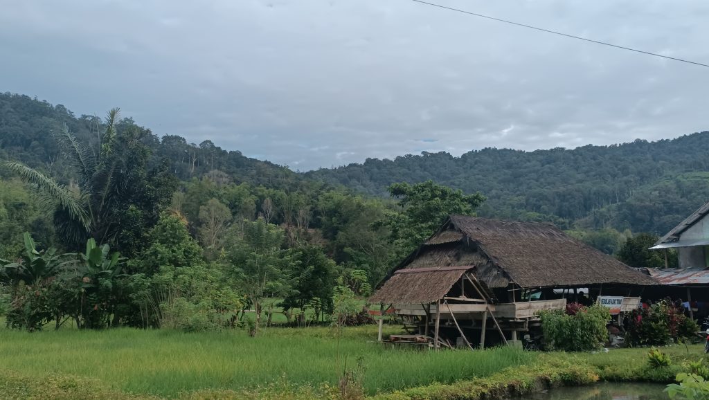 Signifikansi Hutan Adat di Sigi, Pengakuan Kearifan Lokal untuk Hutan Lestari