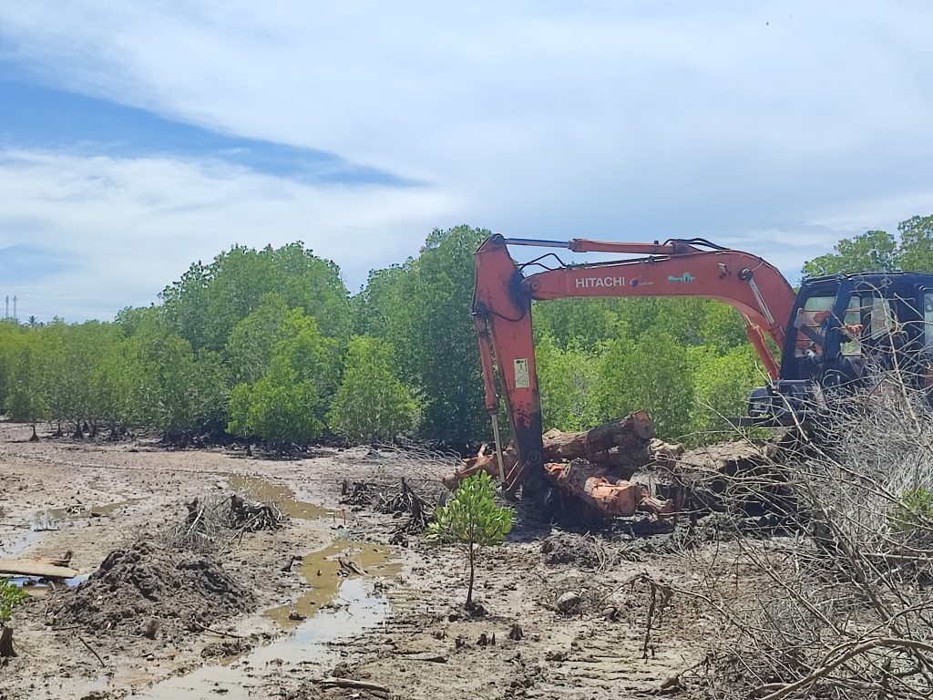 Laju Konversi Mangrove ke Tambak Mengancam Pesisir Pohuwato, Perlindungan Mendesak!