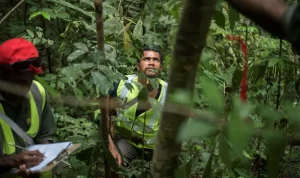 Tim botani NFI melakukan pengukuran terhadap berbagai spesies pohon di dekat Kupiano, Papua Nugini. (Foto: ©️Cory Wright/UN-REDD Programme)