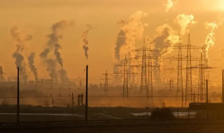 Ilustrasi (Pixabay from Pexels)