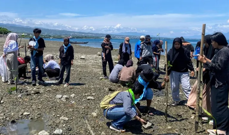 Komintas Mapala Pawana pada penanaman mangrove di Mamboro Barat. (Foto: Mapala Pawana)