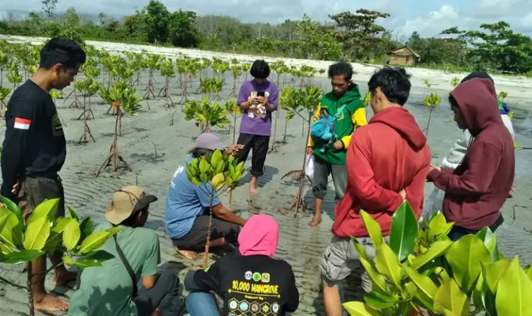 Penanaman mangrove di kawasan Teluk Tomini sebagai upaya pelestarian dan pembentengan abrasi. (Foto: FKPAPT Parigi Moutong)