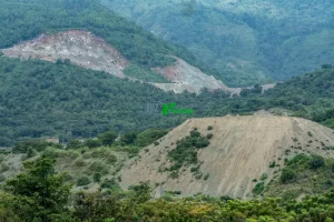 Bentangan perbukitan pesisir yang ditambang untuk material galian C bagi pembangunan Ibu Kota Nusantara (IKN) di pesisir Teluk Palu, Sulawesi Tengah, Kamis (12/6/2025). Data dari Minerba One Map Indonesia (MOMI) Kementerian ESDM, sekitar 30 juta ton batu pecah dipasok dari usaha pertambangan di Sulawesi Tengah untuk pembangunan IKN dan hingga akhir 2024 tercatat 69 izin pertambangan galian C aktif di Kota Palu dan Donggala dengan total luas lahan 1.764,41 hektare. (rindang.ID/Basri Marzuki)