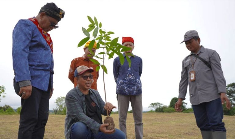 Direktur ROA SUlteng, Movhammad Subarkah menunjukkan pohon mahoni sebelum ditanam di sekitar situs megalit Pokokea, Desa Hanggira, Poso, Jumat (27/6/2025). (Foto: Odi)