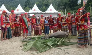 Tari raego mengawali upacara adat Mentimbe atau penyembelihan kerbau pada Festival Danau Lindu 2025. (rindang.ID/basri marzuki)