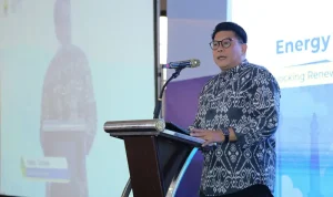 Chief Executive Officer (CEO) IESR, Fabby Tumiwa. (© IESR)