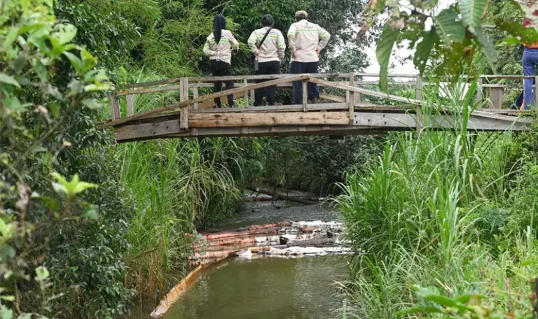 Tim DRRC UI mengamati sungai pada investigasi kebocoran pipa minyak PT Vale di Towuti, Luwu Timur, Sulsel, Selasa (26/8/2025). (©PT Vale Indonesia)