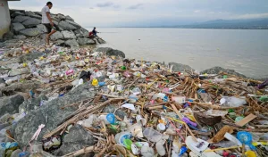 Warga memancing di dekat tumpukan sampah di pesisir Teluk Palu, Palu, Sulawesi Tengah, Selasa (20/1/2026). (©rindang.ID/bmz)