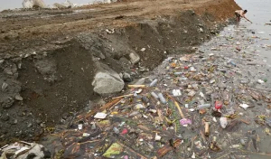 Warga menjaring ikan di dekat tumpukan sampah di pesisir Teluk Palu, Palu, Sulawesi Tengah, Selasa (20/1/2026). (©rindang.ID/bmz)