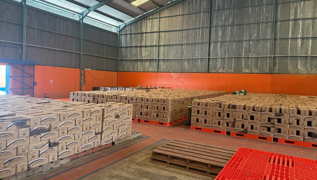 BULOG Pastikan Stok Beras Aman, Cadangan Nasional Tembus 3,74 Juta Ton