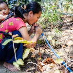 Ilustrasi (©UNESCO)