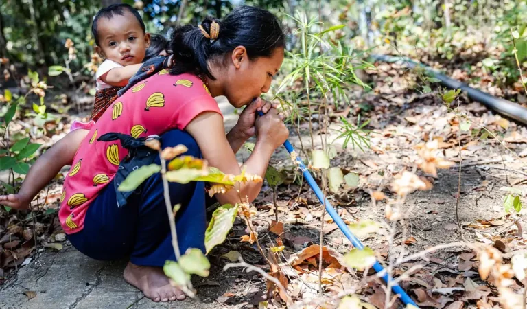 Ilustrasi (©UNESCO)