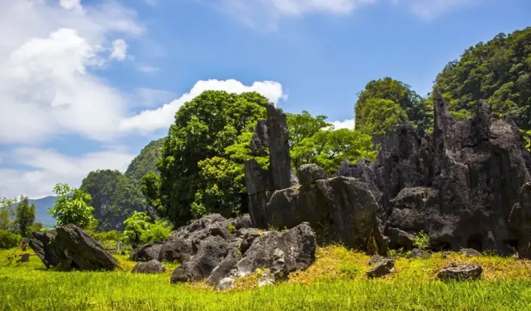 Taman Nasional Bantimurung Bulusaraung di Sulawesi Selatan, rumah bagi kawasan karst terbesar kedua di dunia. (©️Balai Taman Nasional Bantimurung Bulusaraung)