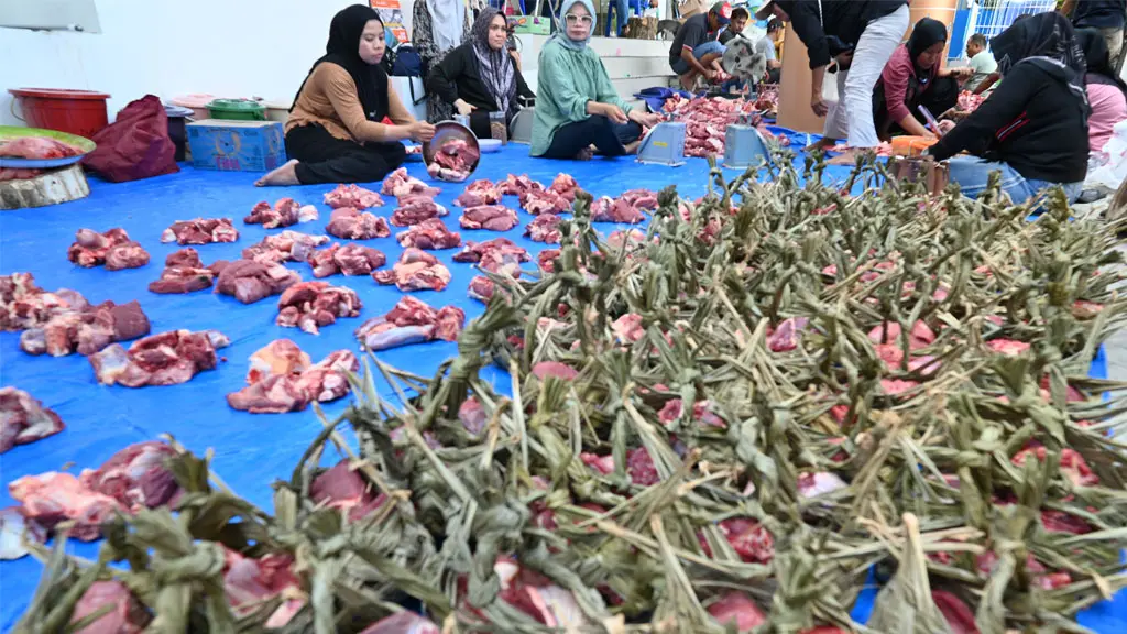 Petugas menata daging kurban yang dikemas dengan kamboti di Kantor Dinas Lingkungan Hidup Kota Palu, Sulawesi Tengah, Kamis (28/5/2026). (©rindang.id/bmzIMAGES/Basri Marzuki)
