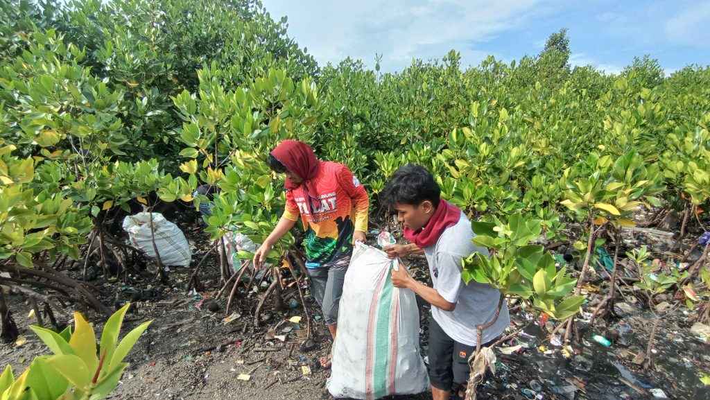 Kisah Hutan Mangrove Layana, yang Tumbuh Dari Semangat Pemulihan Tanpa Status Perlindungan