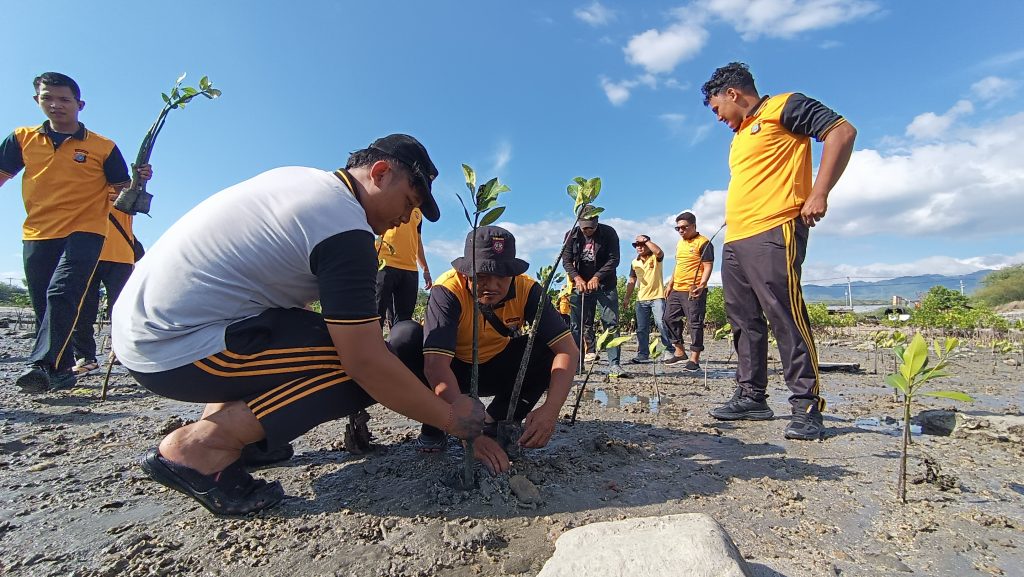 Saat Polresta Palu Jaga Pesisir dengan Aksi 1.000 Mangrove