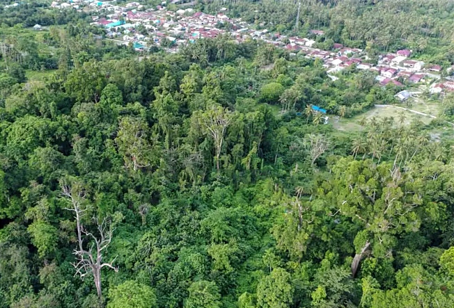 Jadi Benteng Banjir hingga Sumber Air, Hutan Ranjuri Harus Segera Berstatus Jelas