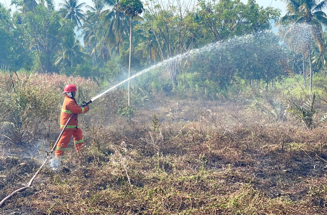 Karhutla Sulteng dalam Angka: Membaca Tren di Balik 690 Hektare yang Terbakar