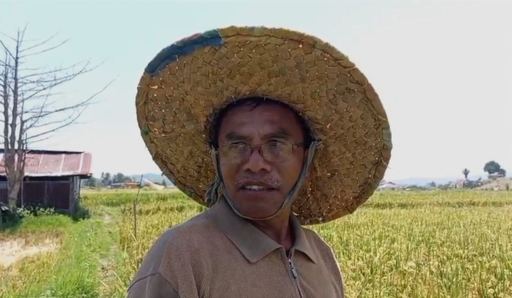Imanuel, Sawah yang Kering, dan Musim yang Tak Lagi Sama