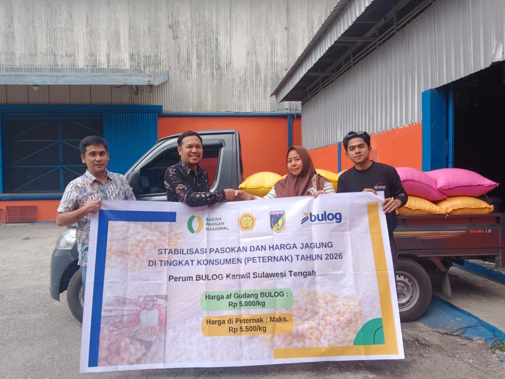 SPHP Jagung Dikebut, Bulog Sulteng Sudah Salurkan 1.232 Ton