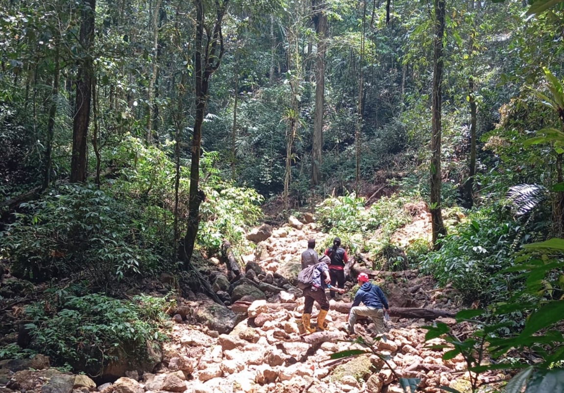 Sanksi Adat dan Patroli Hutan Lindu yang Diuji Tambang Ilegal yang Berulang